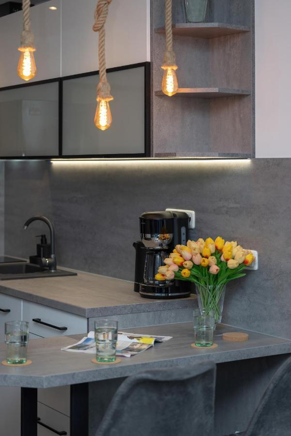 Modern Luzycka By Renters Apartment *